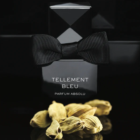 TELLEMENT BLEU PARFUME - 30 ML