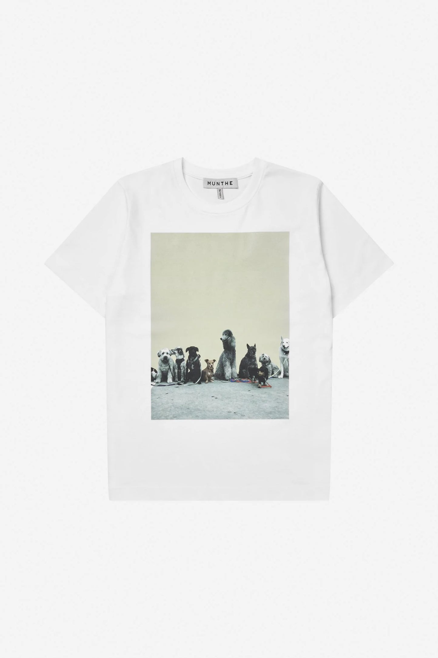 NYLA T-SHIRT - WHITE